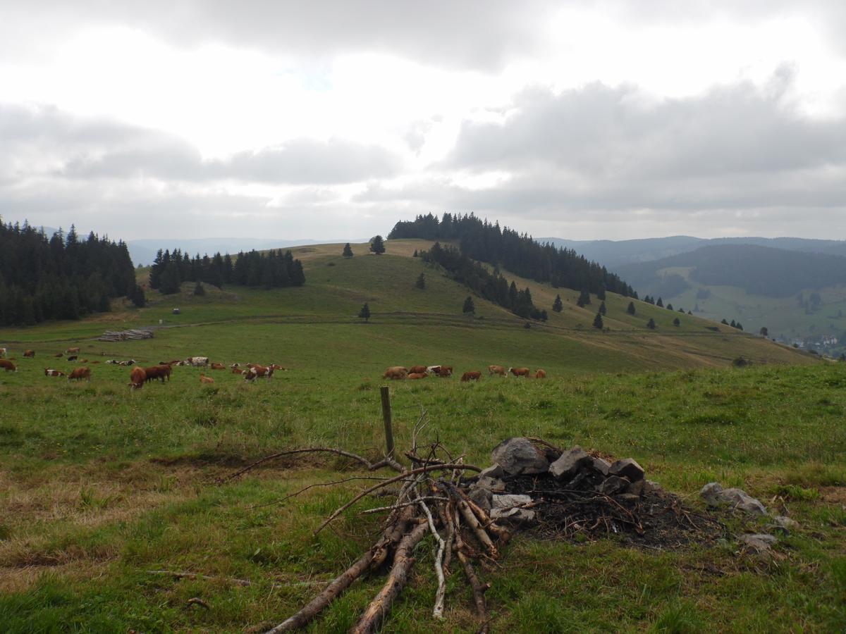 Hotel Dachsberger-Hof Wittenschwand Luaran gambar